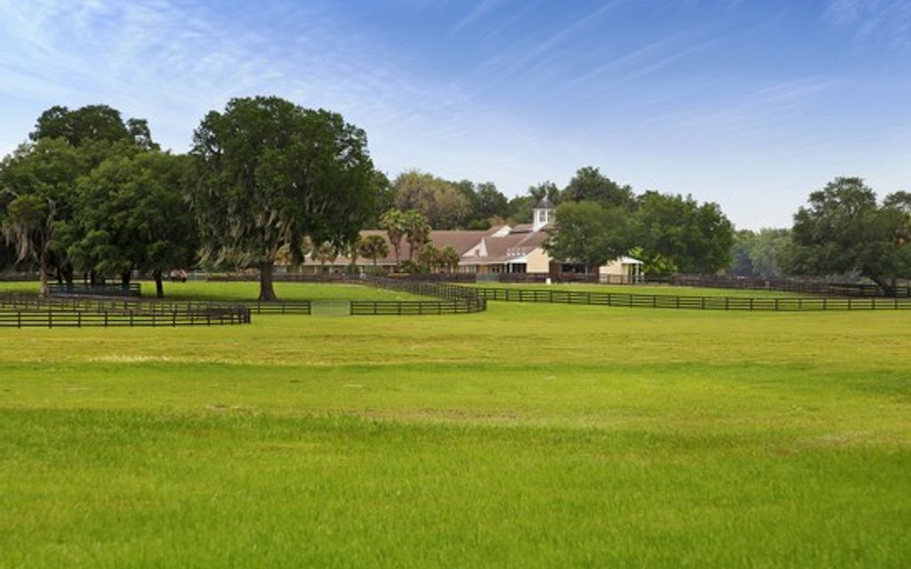 279.12 acres, Dade City, FL, Property ID 1378465 Land and Farm