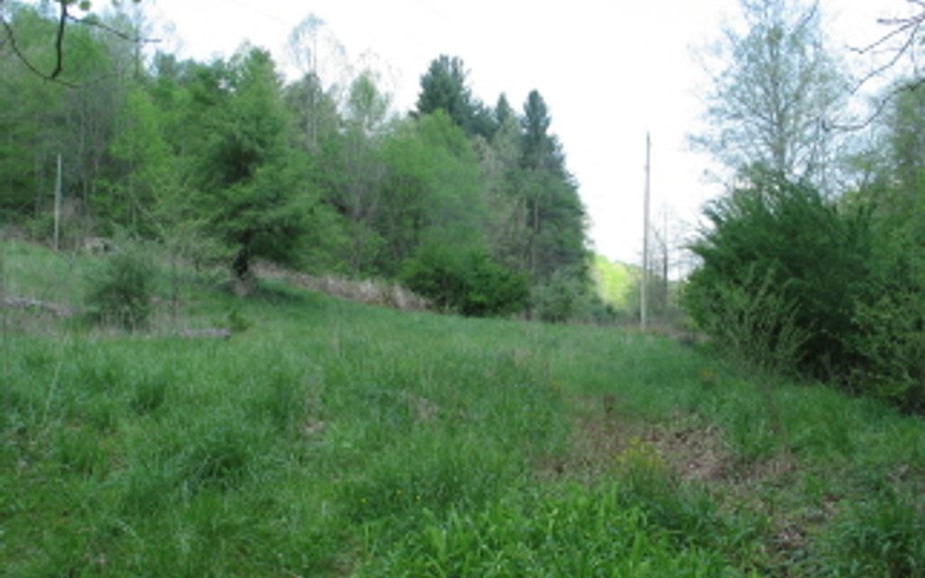 61.56 acres, Spencer, WV, Property ID 551565 Land and Farm