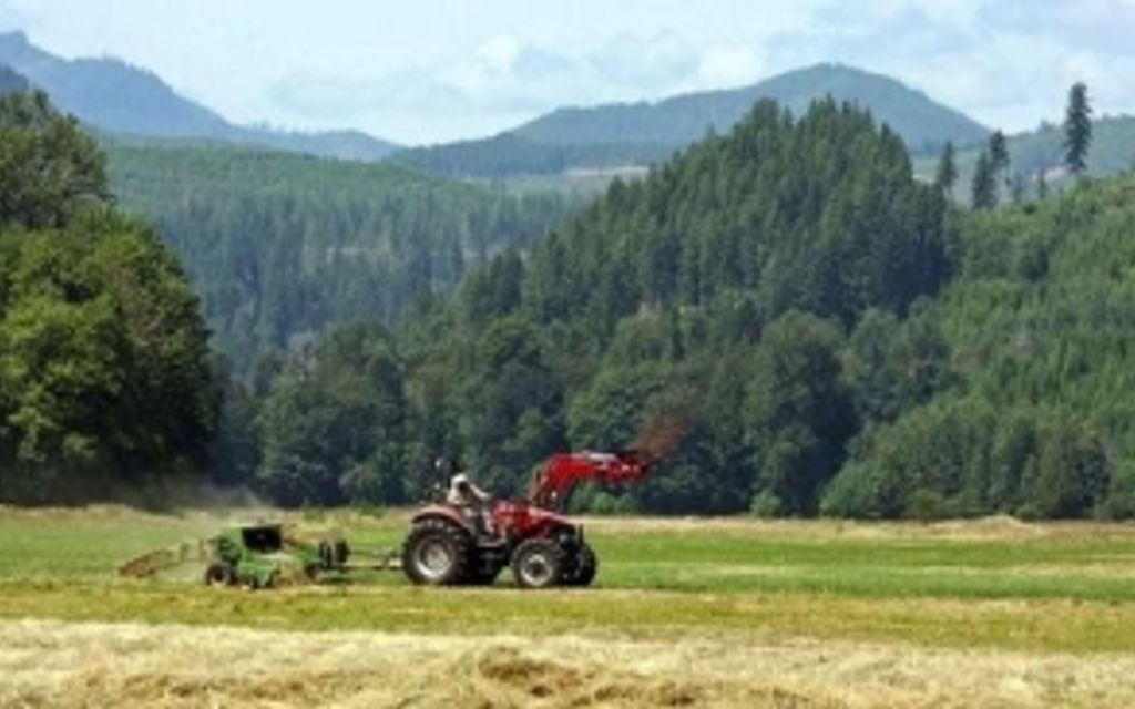 40 acres, Union, WA, Property ID 647439 Land and Farm