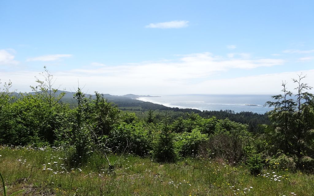 82 acres, Otter Rock, OR, Property ID 1426807 Land and Farm