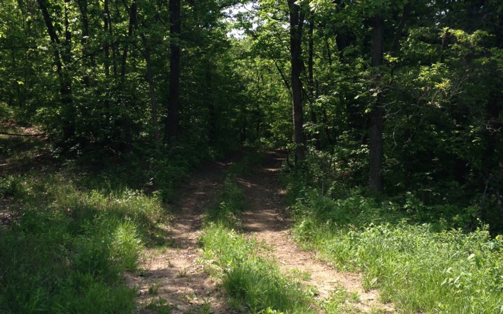 48 acres, Canton, IL, Property ID 1448477 Land and Farm