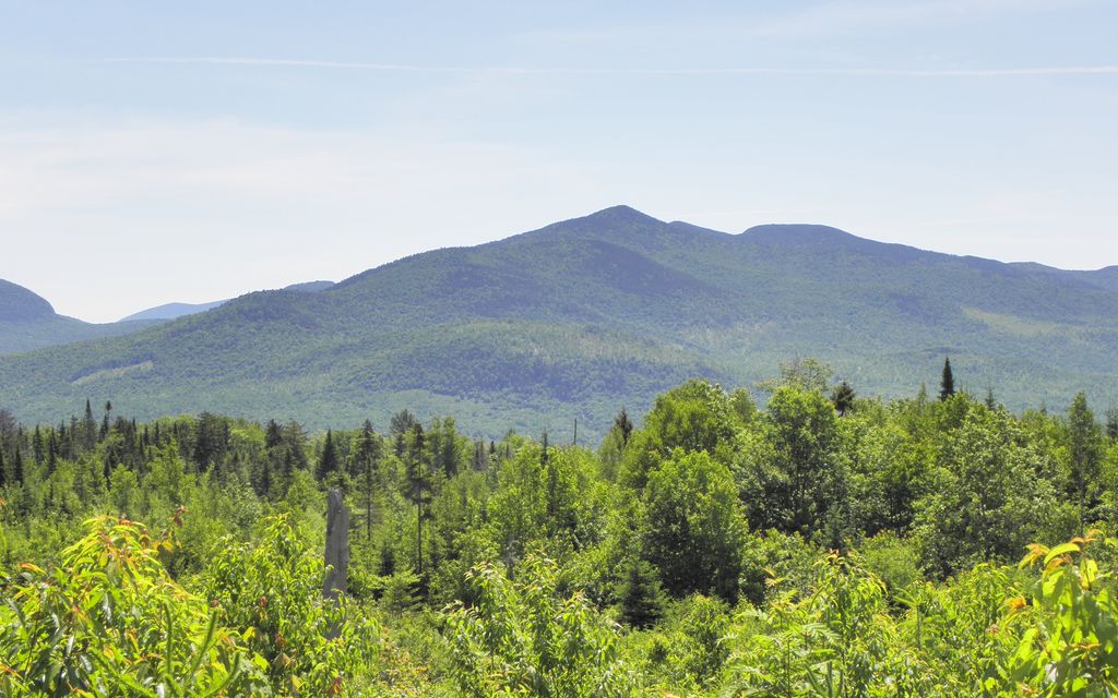 729 acres, Bloomfield, VT, Property ID 1468329 Land and Farm