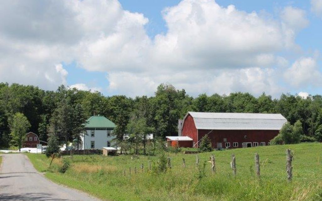168.1 acres, NY, Property ID 1524891 Land and Farm