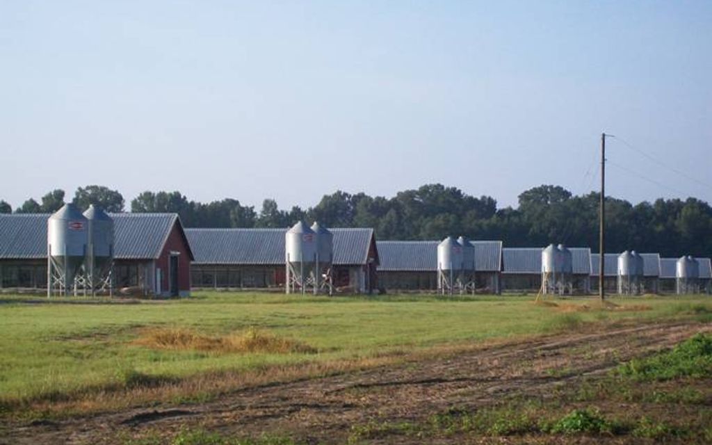 30.13 acres, SC, Property ID 1572850 Land and Farm