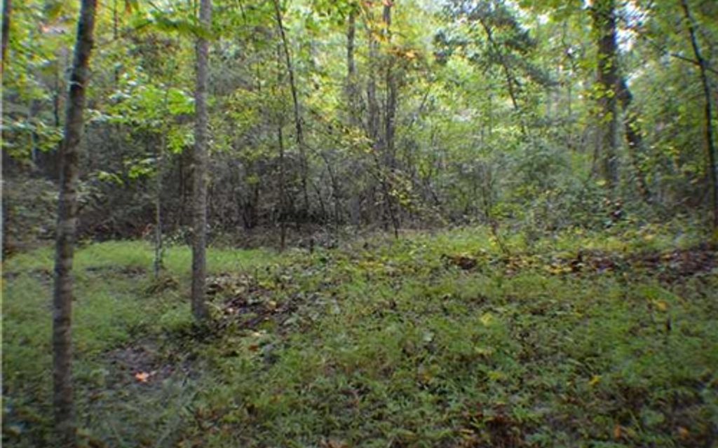 5.51 acres, Pittsboro, NC, Property ID 1639476 Land and Farm
