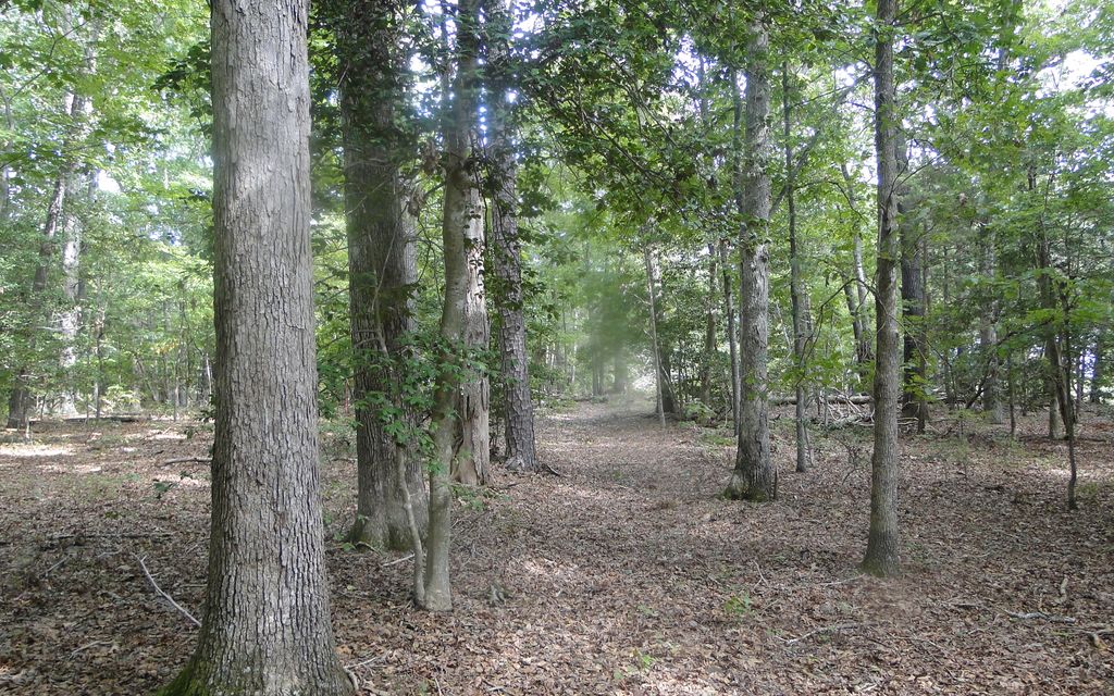 10.2 acres, Powhatan, VA, Property ID 1660788 Land and Farm