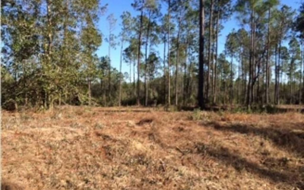 12.35 acres, Defuniak Springs, FL, Property ID 1582052 Land and Farm