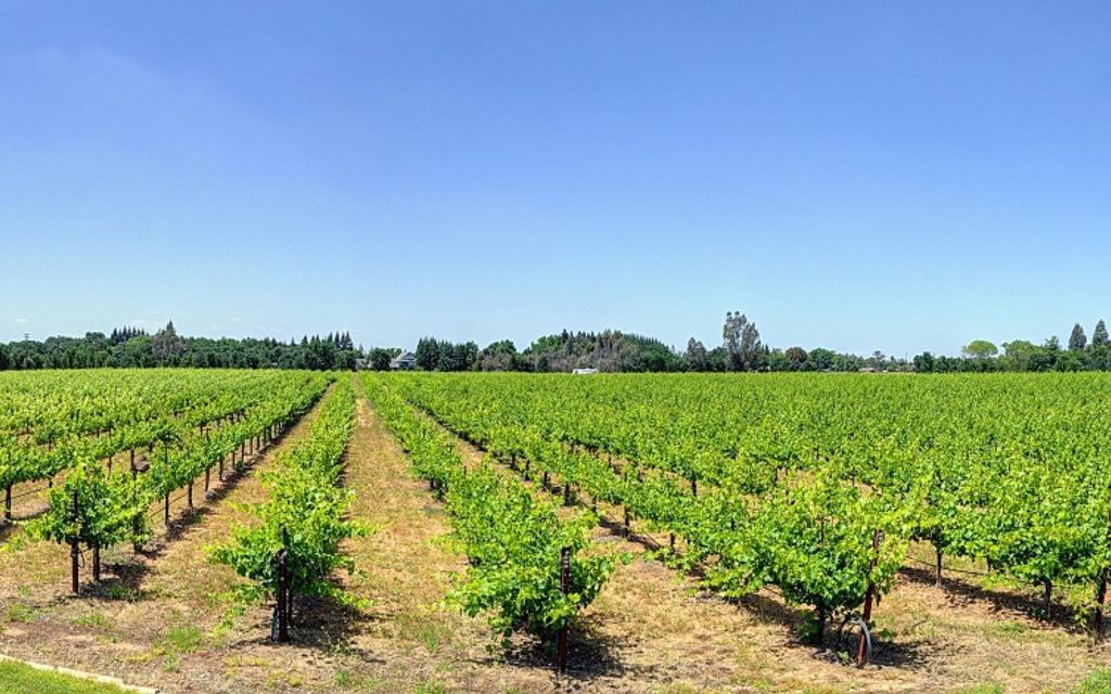 20.8 acres, Elk Grove, CA, Property ID 1694291 Land and Farm