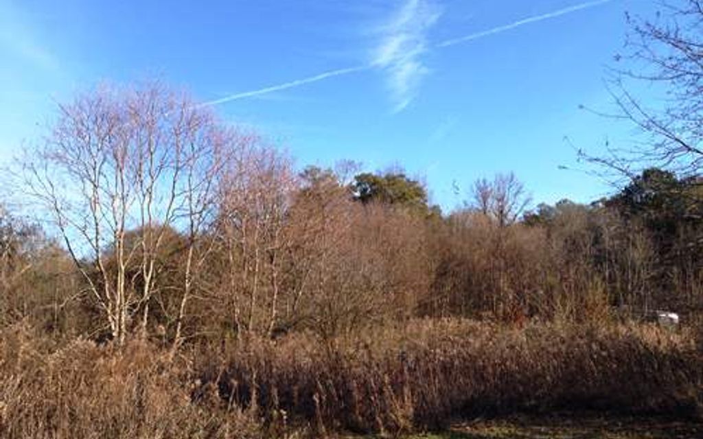 46 acres, Dadeville, AL, Property ID 1760682 Land and Farm