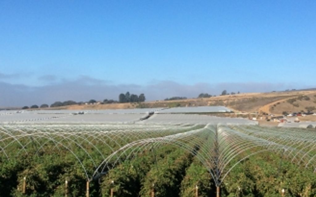 206.63 acres, Salinas, CA, Property ID 495758 Land and Farm