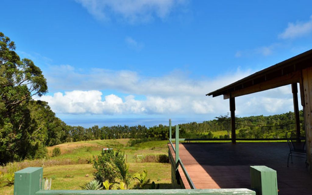 17.47 acres, Laupahoehoe, HI, Property ID 1768302 Land and Farm