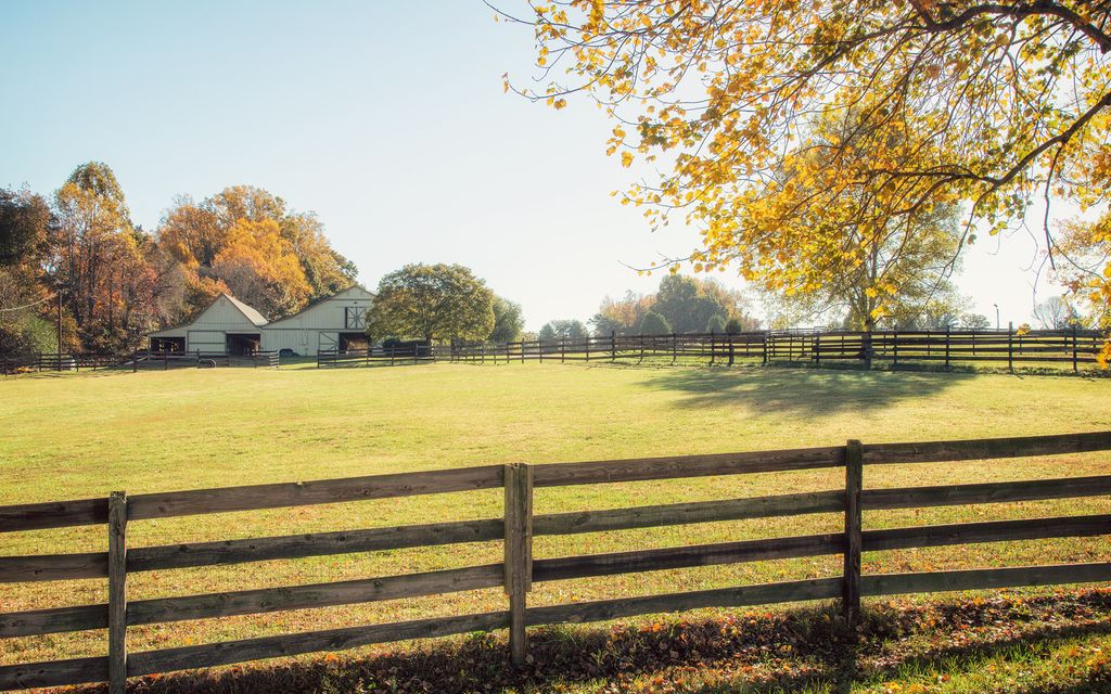 27 acres, Summerfield, NC, Property ID 2011087 Land and Farm