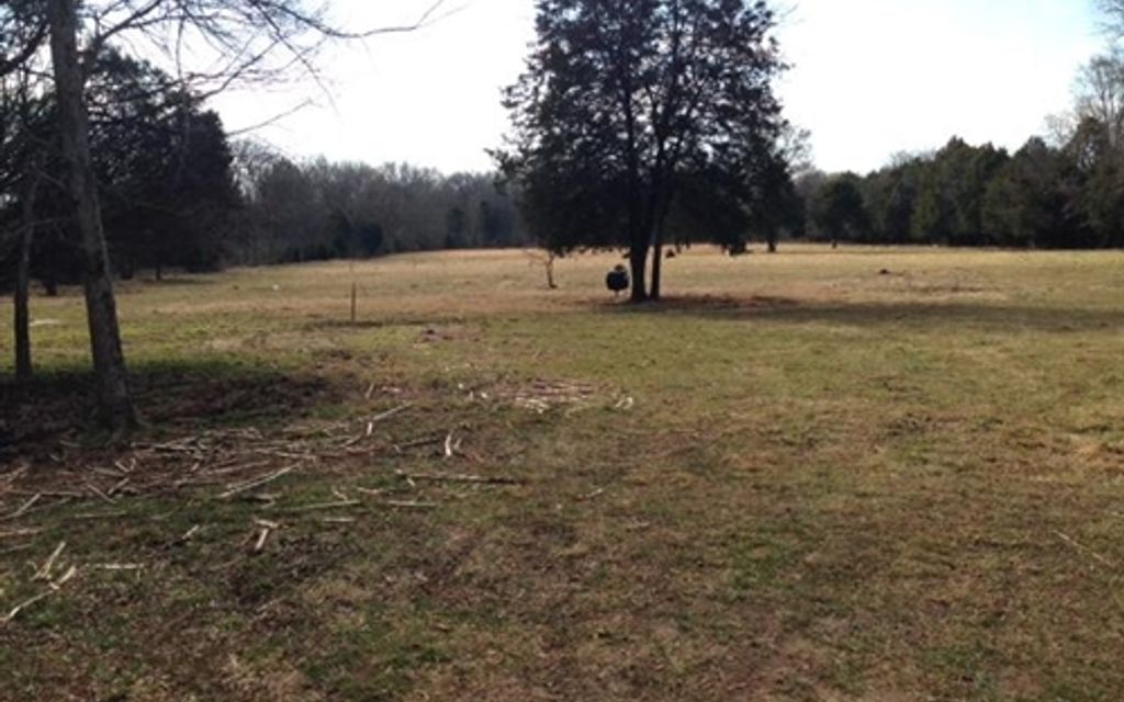 5.82 acres, Murfreesboro, TN, Property ID 1778810 Land and Farm