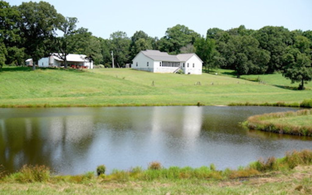 62.8 acres, Lexington, TN, Property ID 2212972 Land and Farm