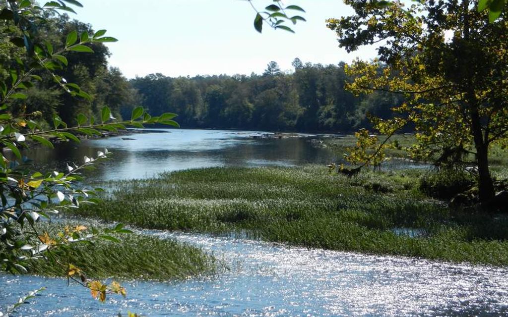 21 acres, Wadley, AL, Property ID 2227953 Land and Farm