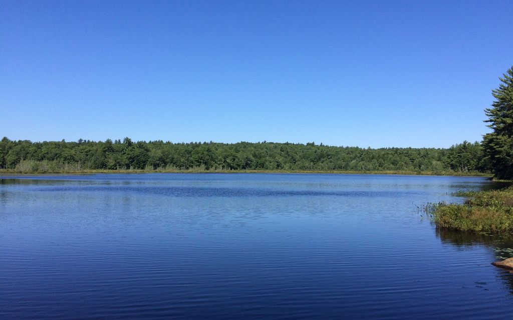 315 acres, Sebago, ME, Property ID 2299249 Land and Farm