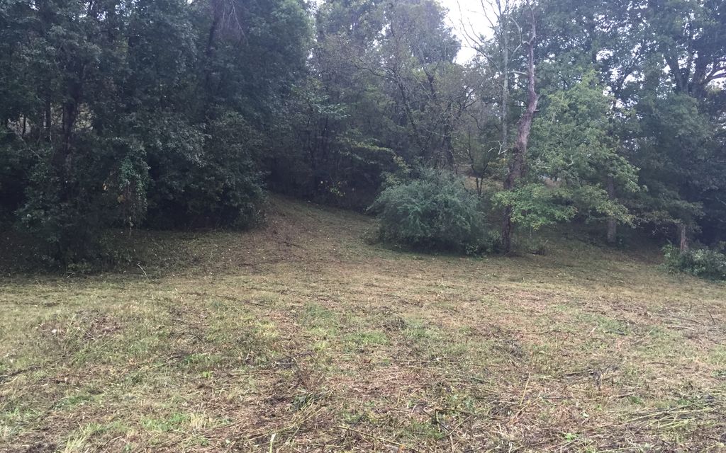 10 acres, Pulaski, TN, Property ID 2400417 Land and Farm