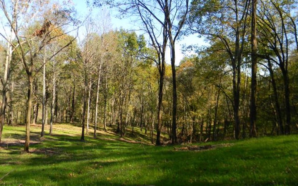 21.94 acres, Lafayette, TN, Property ID 2439047 Land and Farm