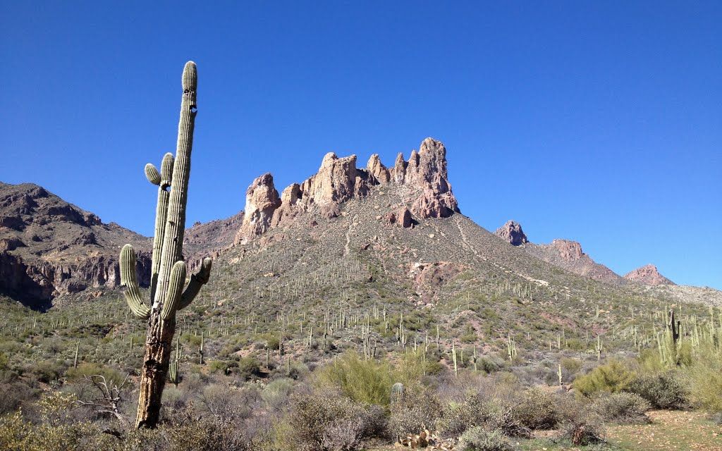 20 acres, Queen Valley, AZ, Property ID 2444050 Land and Farm