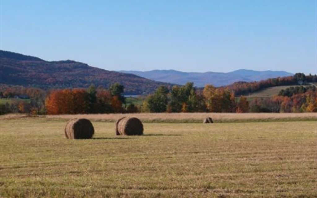 302 acres, Elmore, VT, Property ID 2436644 Land and Farm