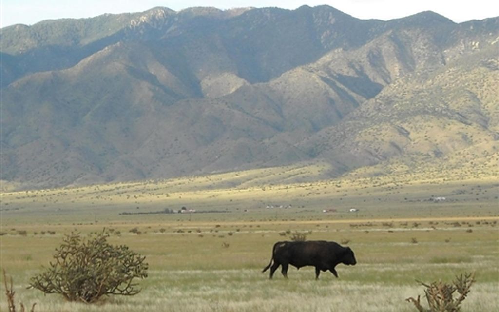 28 acres, Belen, NM, Property ID 1645408 Land and Farm