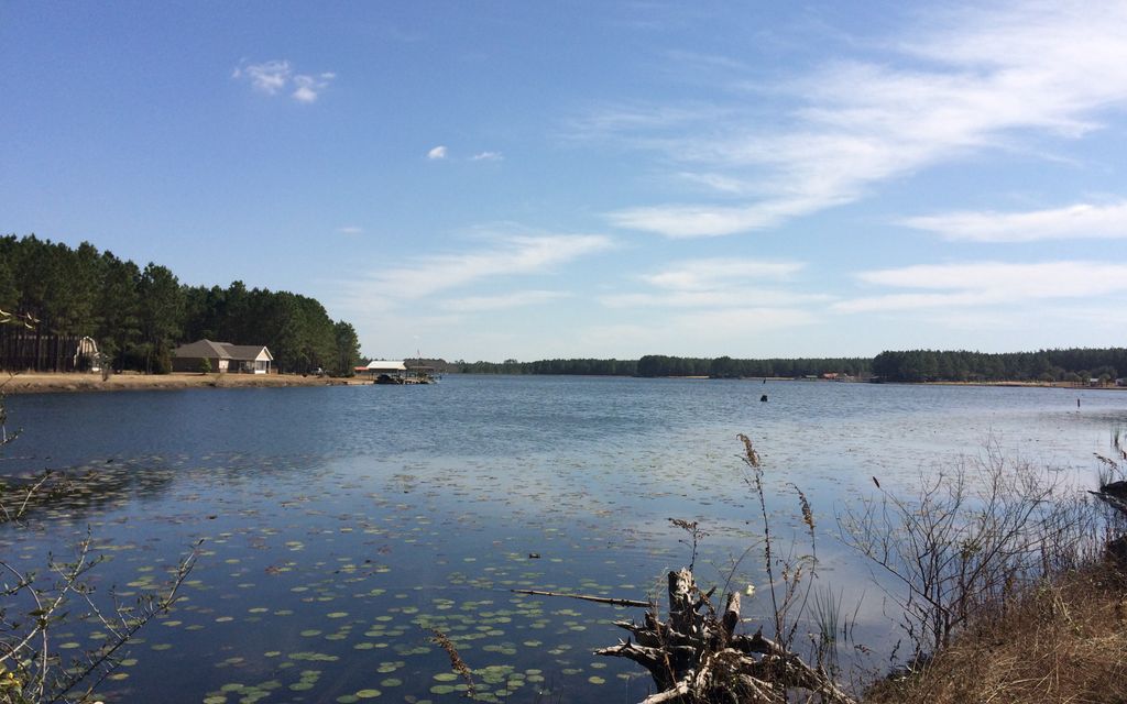 1.91 acres, Baxley, GA, Property ID 2727837 Land and Farm