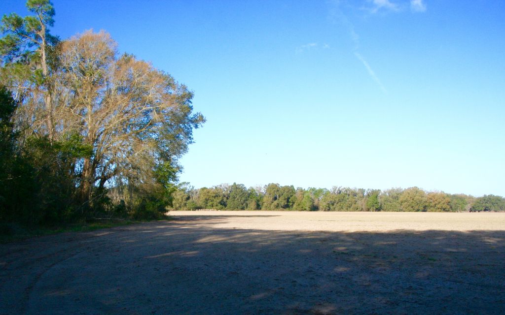 91 acres, Perry, FL, Property ID 2756218 Land and Farm