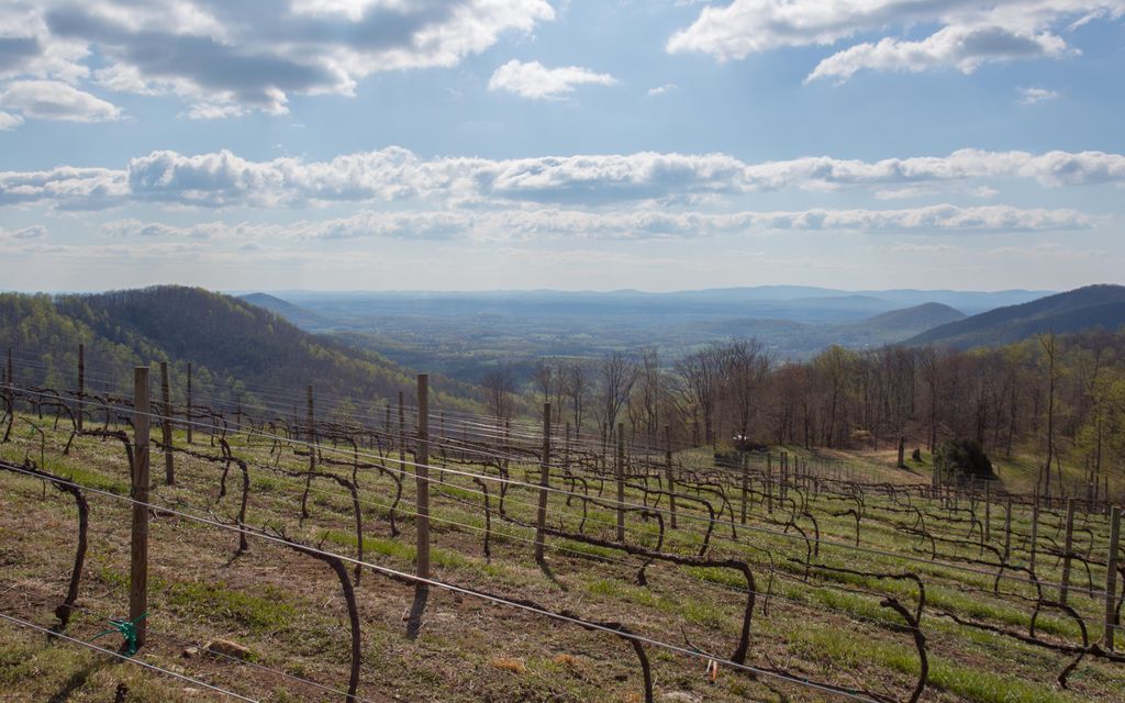 75 acres, Dyke, VA, Property ID 2782634 Land and Farm