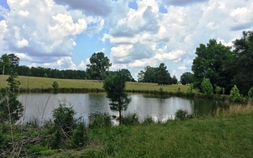 42.2 acres, Bradley, SC, Property ID 2882955 Land and Farm