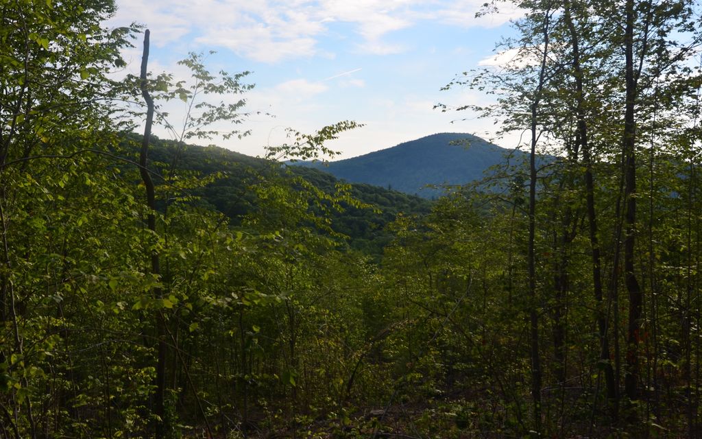 394 acres, Sumner, ME, Property ID 2740617 Land and Farm