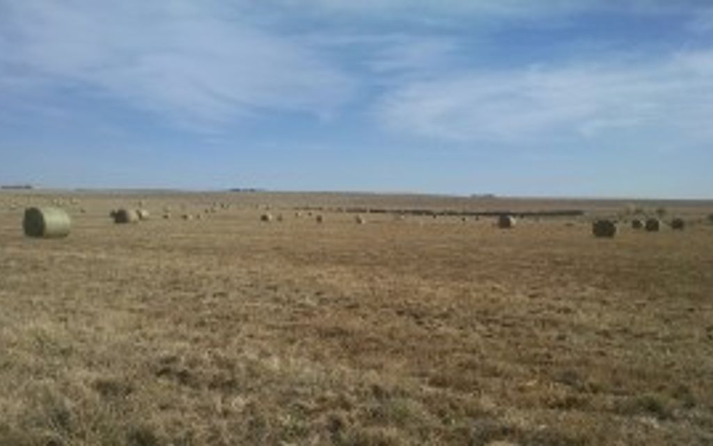 160 acres, Hayes Center, NE, Property ID 3107851 Land and Farm