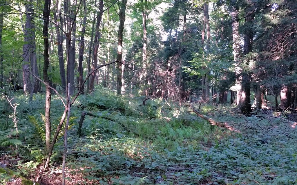 2.99 acres, Penn Run, PA, Property ID 3164567 Land and Farm