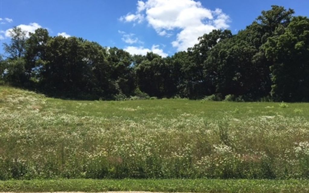 5 acres, Verona, WI, Property ID 3404799 Land and Farm