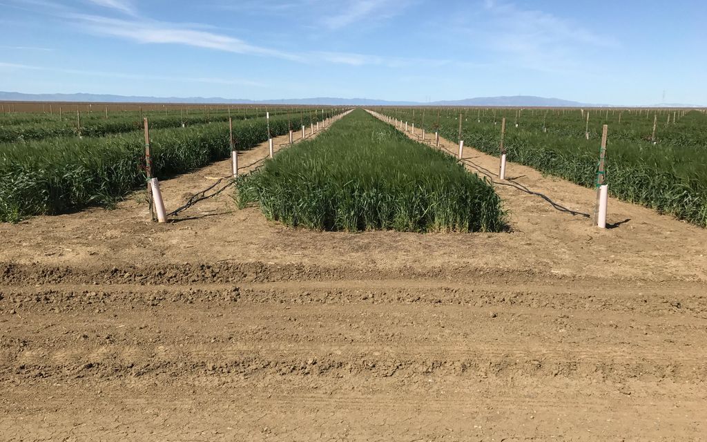 964.14 acres, Lemoore, CA, Property ID 3639216 Land and Farm