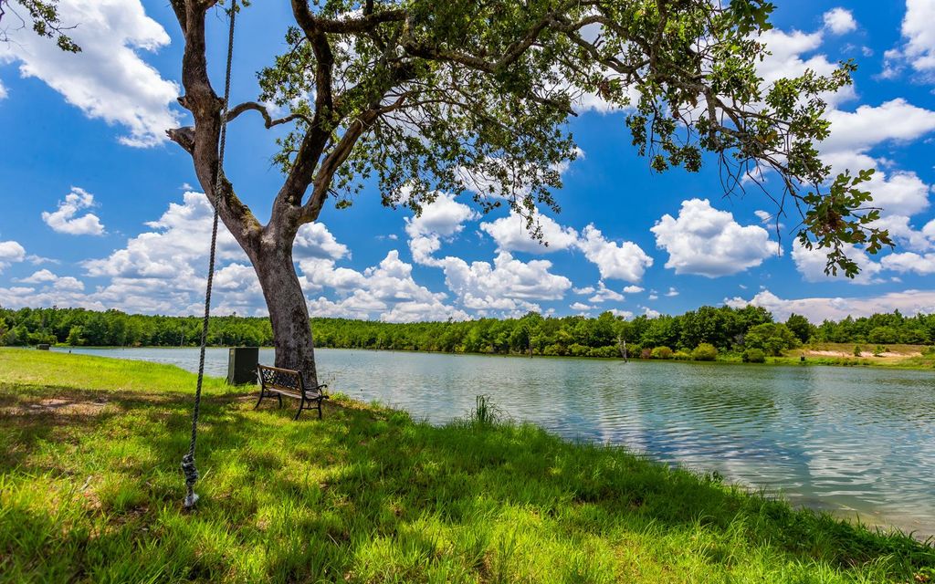 1200 acres, Gilmer, TX, Property ID 3062399 Land and Farm