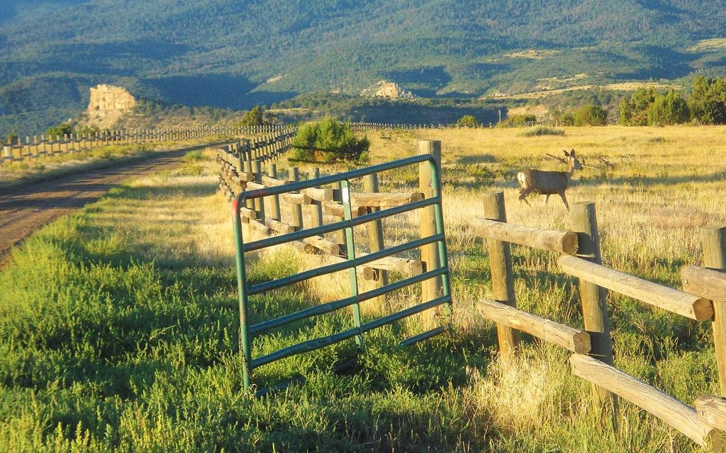 3100 acres, Trinidad, CO, Property ID 3468049 Land and Farm