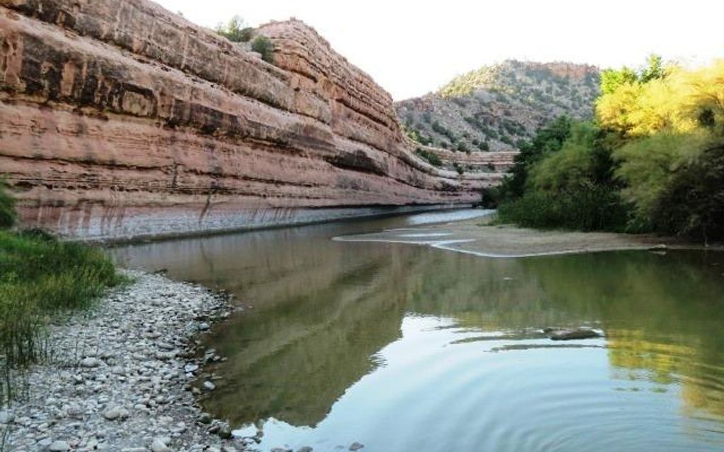 3890 acres, Roy, NM, Property ID 2170380 Land and Farm