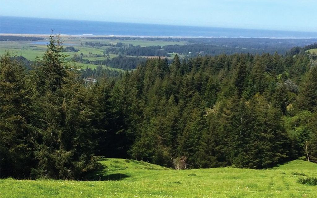 120 acres, Langlois, OR, Property ID 2074831 Land and Farm