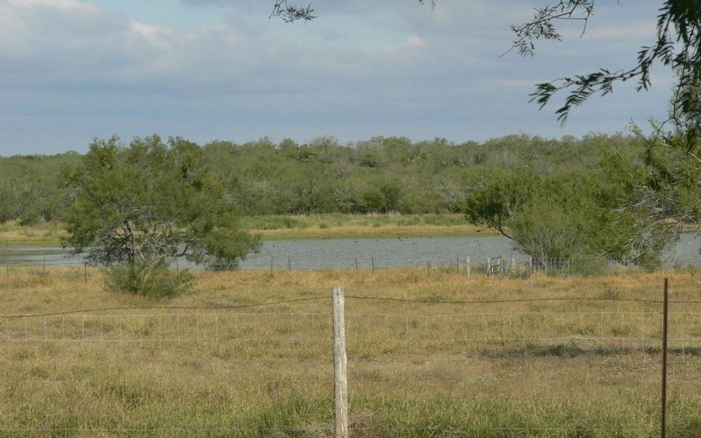1155 acres, El Sauz, TX, Property ID 1152068 Land and Farm