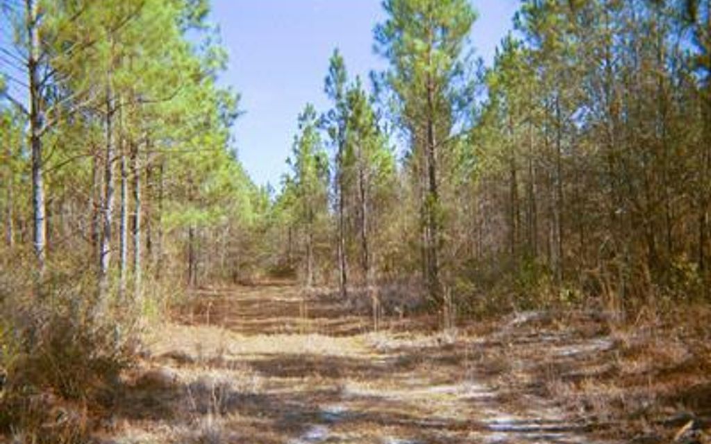 80 acres, Mayo, FL, Property ID 3006870 Land and Farm