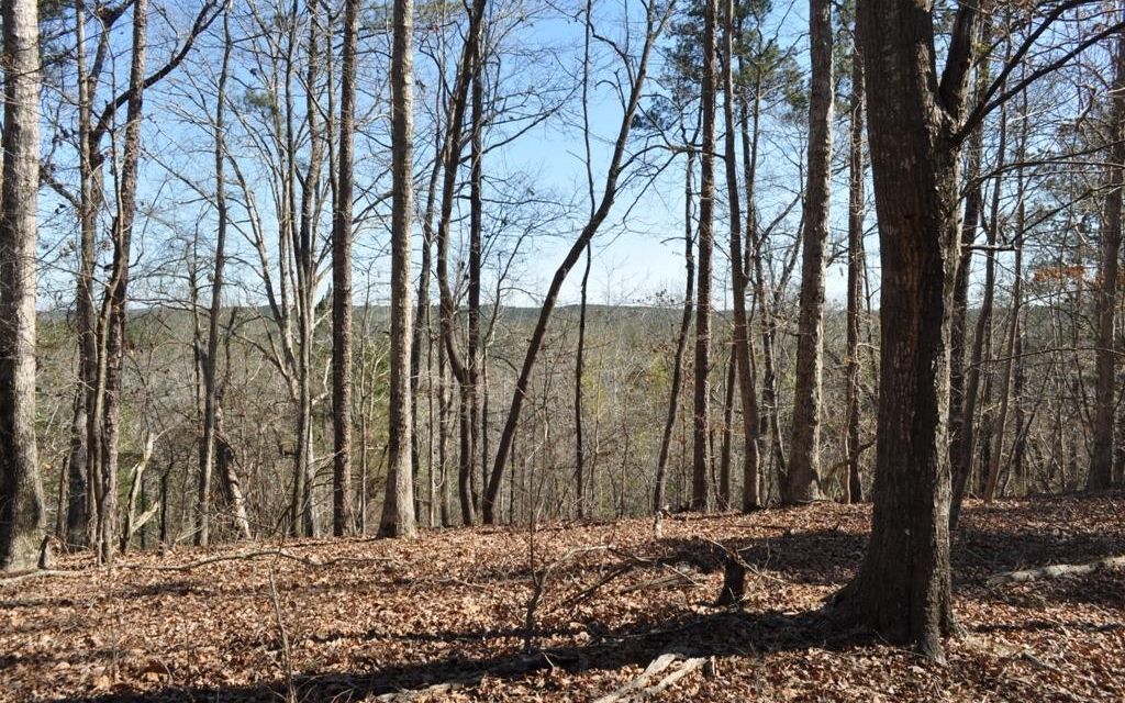 80 acres, Moundville, AL, Property ID 3386585 Land and Farm