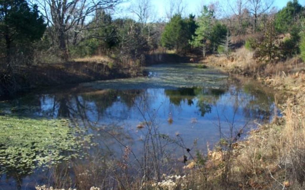 36 acres, Big Flat, AR, Property ID 3389627 Land and Farm