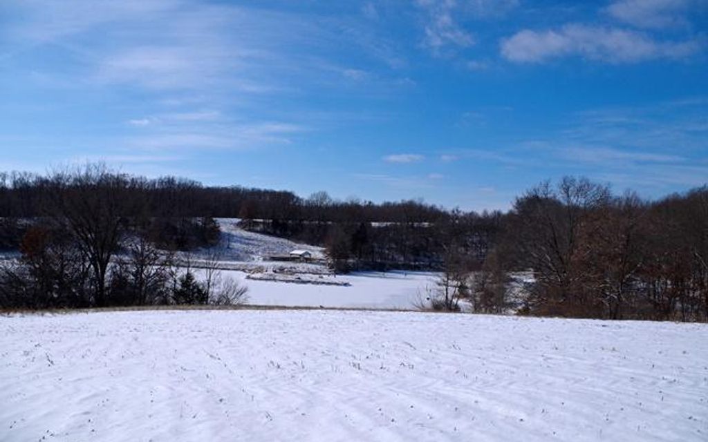 153 acres, Bowling Green, MO, Property ID 3389001 Land and Farm