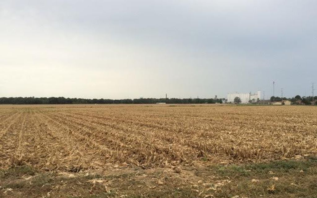 155 acres, Greenwood, MS, Property ID 1763235 Land and Farm