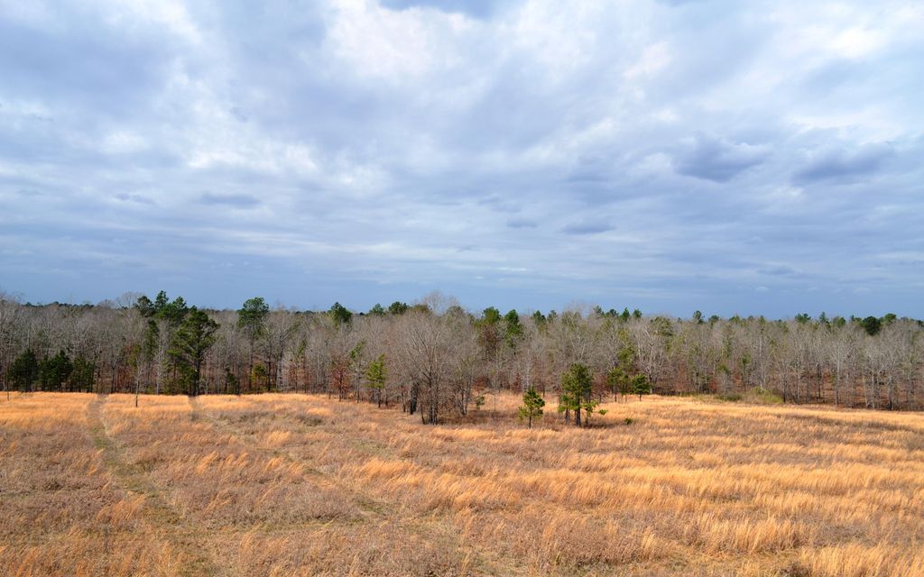 179 acres, Hatchechubbee, AL, Property ID 3242142 Land and Farm