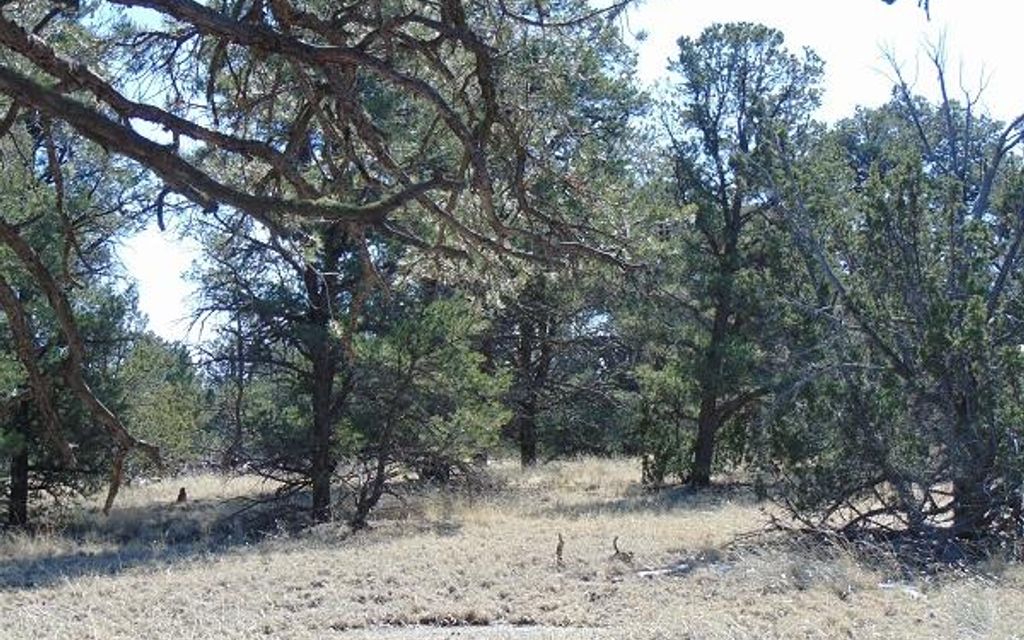 20 acres, Fence Lake, NM, Property ID 1690875 Land and Farm