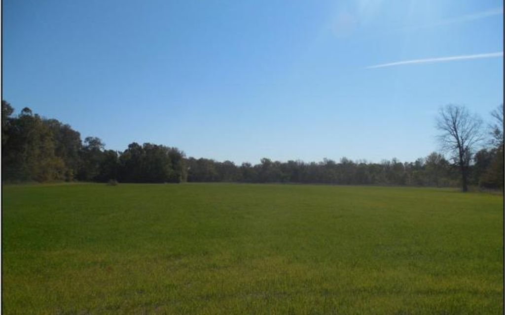 8000 acres, Gunnison, MS, Property ID 1758759 Land and Farm