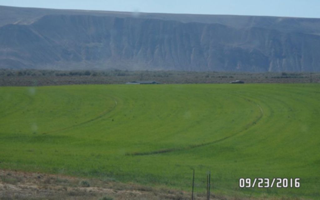 278.5 acres, Royal City, WA, Property ID 3252608 Land and Farm