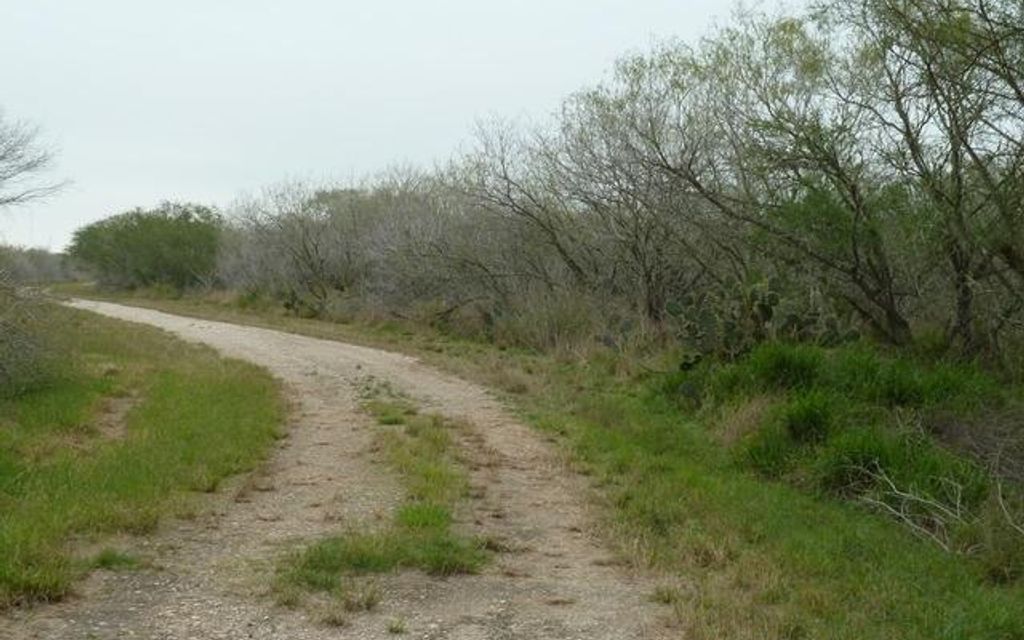 40 acres, Alice, TX, Property ID 3292407 Land and Farm