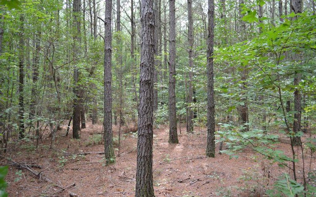 138 acres, Eden, MD, Property ID 3614554 Land and Farm